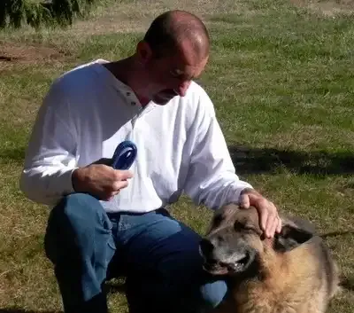 Dog practicing obedience commands with a trainer